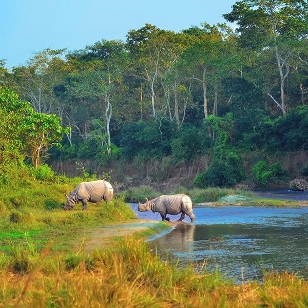 Nepal Holiday Package – 8 Days Best of Nepal Tour