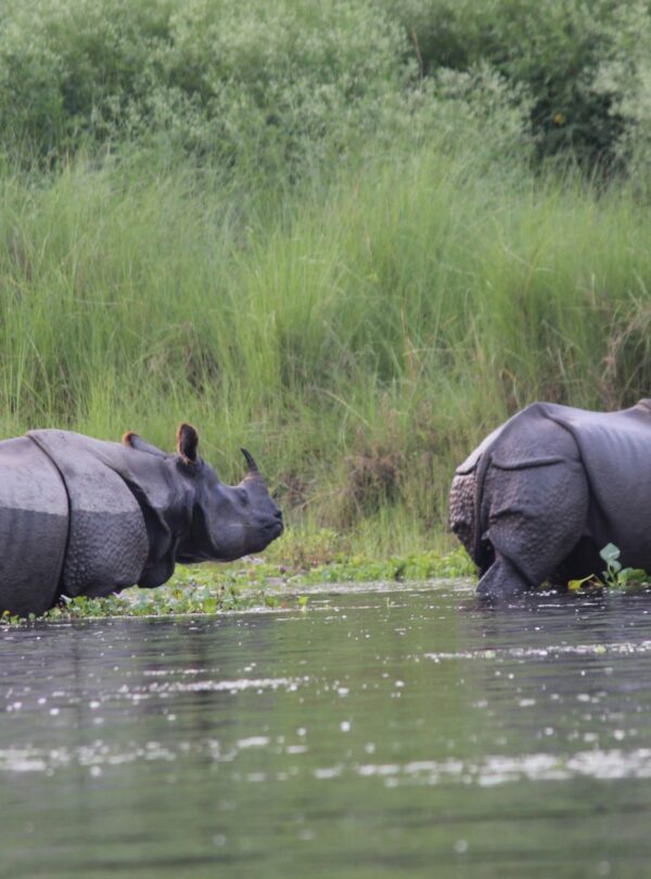 Nepal Tour Package - 7 days