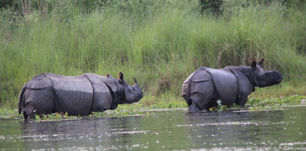 Nepal Tour Package - 7 days